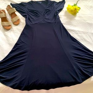 Navy Blue Chaps V- Neck Dress